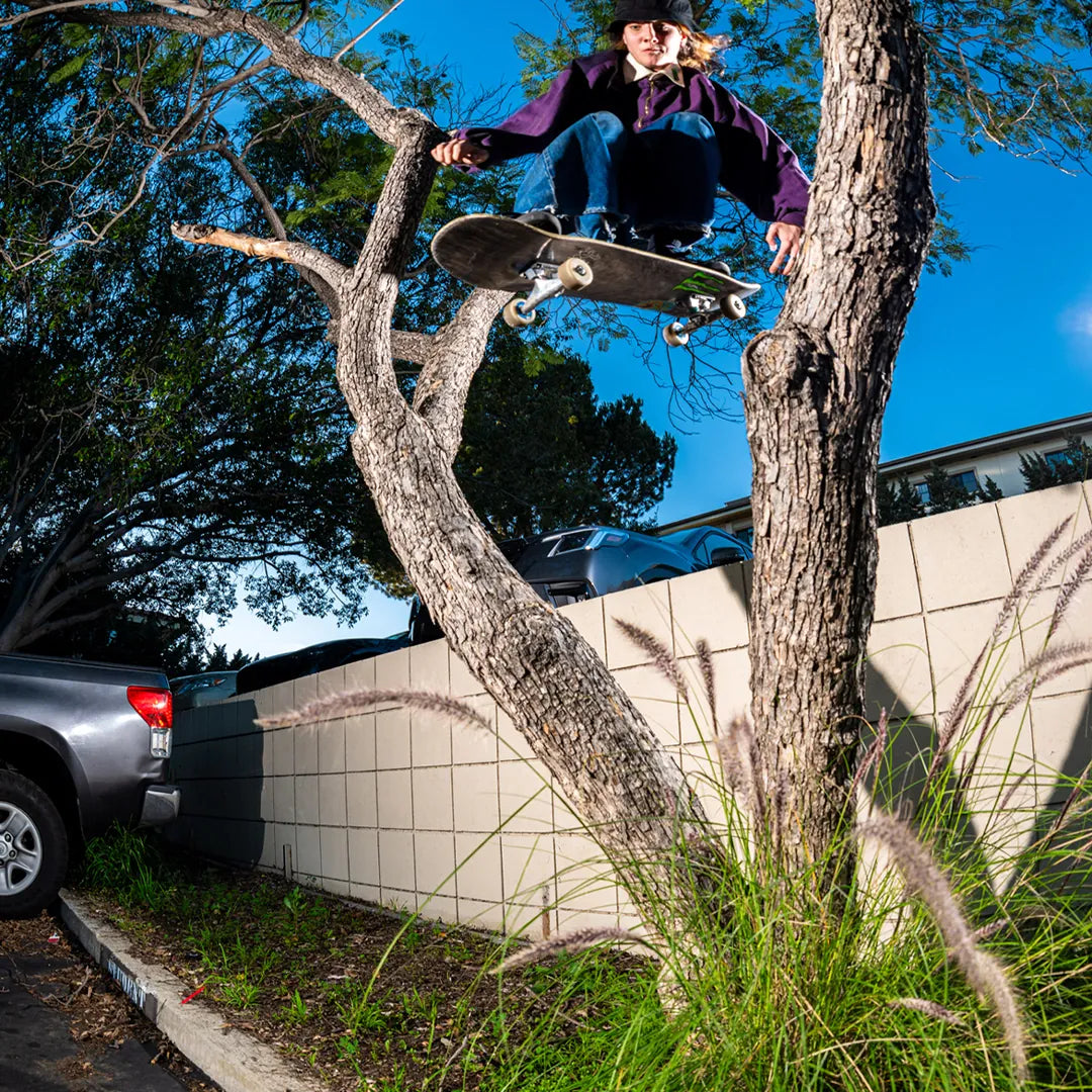 Etnies Latest - Purple Skate Shoes – Locut Vulc x Werka